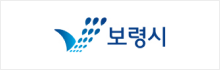 보령시 로고